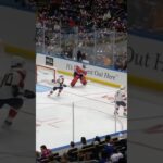 BOBROVSKY ASSIST! 🍎