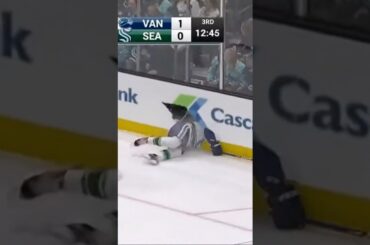 NHL Fall That Breaks the Glass 💀🚨