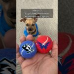 Cujo’s NHL Picks | Utah Mammoth vs Washington Capitals 🏒 03-03-2026 #CujoCatches