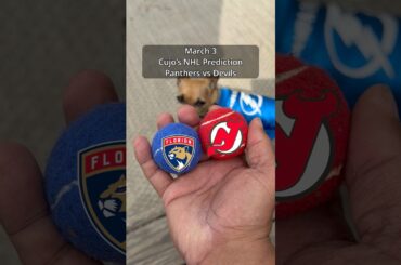 Cujo’s NHL Picks | Florida Panthers vs New Jersey Devils 🏒 03-03-2026 #CujoCatches