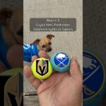 Cujo’s NHL Picks | Vegas Golden Knights vs Buffalo Sabres 🏒 03-03-2026 #CujoCatches