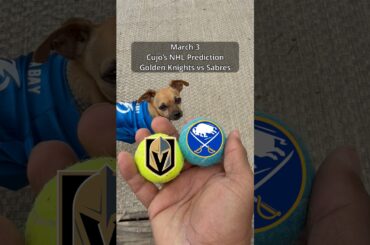 Cujo’s NHL Picks | Vegas Golden Knights vs Buffalo Sabres 🏒 03-03-2026 #CujoCatches