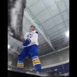 Amazing hockey ASMR 😮‍💨 (via @stlouisblues/IG)