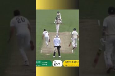 Nathan Smith 4 wickets for Wellington vs Central Districts #PlunketShield