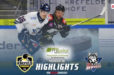 Highlights: 48. Saisonspiel - Krefeld Pinguine vs. Kassel Huskies