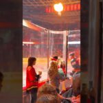 POV: Game Night at the Saddledome | Stars Dominate Flames 6-1 for 10th Straight Win 🔥⭐️🏒