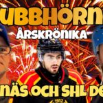 Brynäs och SHL - Årskrönika - I gubbhörnet (Del 12)