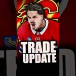 CALGARY FLAMES WANT ARBER XHEKAJ IN A TRADE