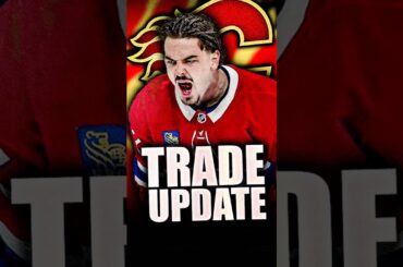CALGARY FLAMES WANT ARBER XHEKAJ IN A TRADE