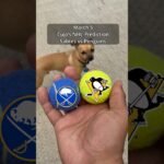Cujo’s NHL Picks | Buffalo Sabres vs Pittsburgh Penguins 🏒 03-05-2026 #CujoCatches