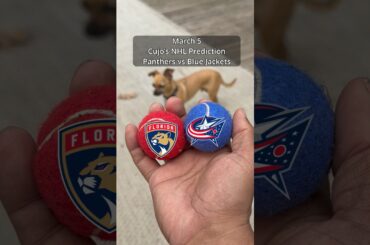 Cujo’s NHL Picks | Florida Panthers vs Columbus Blue Jackets 🏒 03-05-2026 #CujoCatches