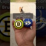 Cujo’s NHL Picks | Boston Bruins vs Nashville Predators 🏒 03-05-2026 #CujoCatches