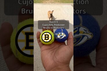 Cujo’s NHL Picks | Boston Bruins vs Nashville Predators 🏒 03-05-2026 #CujoCatches