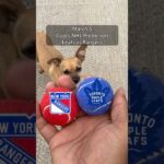 Cujo’s NHL Picks | Toronto Maple Leafs vs New York Rangers 🏒 03-05-2026 #CujoCatches