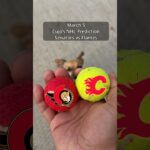 Cujo’s NHL Picks | Ottawa Senators vs Calgary Flames 🏒 03-05-2026 #CujoCatches