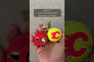 Cujo’s NHL Picks | Ottawa Senators vs Calgary Flames 🏒 03-05-2026 #CujoCatches