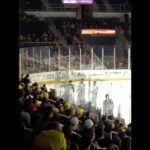 Real hockey fight Boston Bruins