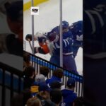 Pacioretty NAILS Seeler #nhl #hockey #leafs #flyers