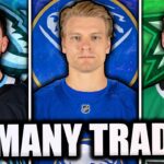 WHAT JUST HAPPENED IN THE NHL...??