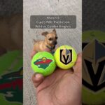 Cujo’s NHL Picks | Minnesota Wild vs Vegas Golden Knights 🏒 03-06-2026 #CujoCatches
