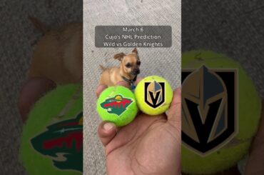 Cujo’s NHL Picks | Minnesota Wild vs Vegas Golden Knights 🏒 03-06-2026 #CujoCatches