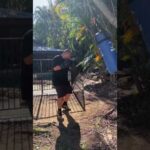 Peekaboo style heavy bag combo #miketyson #cusdamato #boxing - Win PeekABoo Course in Description