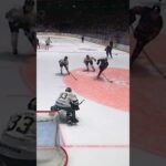 Emil Larmi målvaktstavla (Färjestad BK mot Malmö Redhawks i Malmö Arena i SHL i Sverige) (#Shorts)