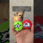 Cujo’s NHL Picks | Colorado Avalanche vs Dallas Stars 🏒 03-06-2026 #CujoCatches