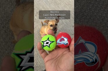 Cujo’s NHL Picks | Colorado Avalanche vs Dallas Stars 🏒 03-06-2026 #CujoCatches