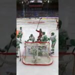 Mål eller inte? (Frölunda HC mot Rögle BK i Scandinavium i Göteborg i SHL i Sverige) (#Shorts)