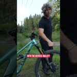 The Worlds First Reverse-Mullet?! ⏪💇