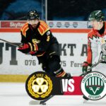 Brynäs vs Frölunda | 28 feb 2026 | Highlights