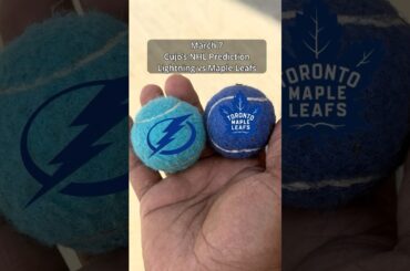 Cujo’s NHL Picks | Tampa Bay Lightning vs Toronto Maple Leafs 🏒 03-07-2026 #CujoCatches