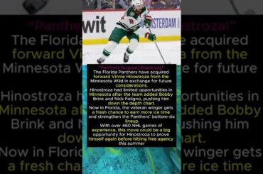 Panthers Acquire Vinnie Hinostroza From Wild #automobile #football #history #florida #usa