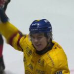 Malmö Redhawks - Djurgården | Highlights (20260130)