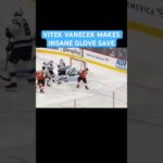 VITEK VANECEK MAKES INSANE GLOVE SAVE