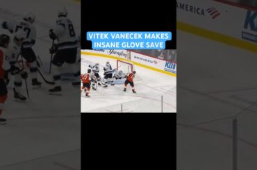 VITEK VANECEK MAKES INSANE GLOVE SAVE