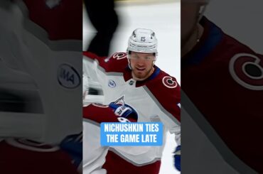 THE CHU CHU TRAIN 🚂