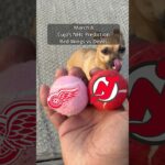 Cujo’s NHL Picks | Detroit Red Wings vs New Jersey Devils 🏒 03-08-2026 #CujoCatches