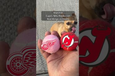 Cujo’s NHL Picks | Detroit Red Wings vs New Jersey Devils 🏒 03-08-2026 #CujoCatches