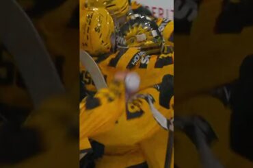 Strauss Mann firar på isen för flest hållna nollor i SHL (Skellefteå AIK Frölunda HC SHL) (#Shorts)