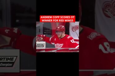 ANDREW COPP SCORES OT WINNER FOR RED WINGS OVER CANES