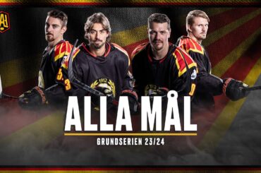 Alla våra 199 mål i den hockeyallsvenska grundserien