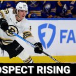 STEALTH MOVE: How Freshly-Signed Frederic Brunet Fits In Boston Bruins' Retool Plans