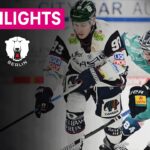 Dresdner Eislöwen - Eisbären Berlin | PENNY DEL | MAGENTA SPORT