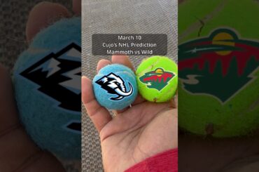 Cujo’s NHL Picks | Utah Mammoth vs Minnesota Wild 🏒 03-10-2026 #CujoCatches