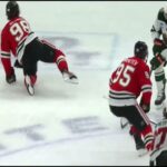 Eriksson Ek NAILED Bedard and then Mikheyev SAT DOWN Eriksson Ek but got called for interference 😵