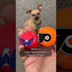 Cujo’s NHL Picks | Washington Capitals vs Philadelphia Flyers 🏒 03-11-2026 #CujoCatches