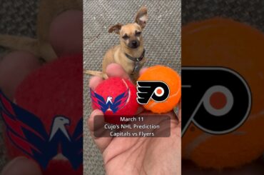 Cujo’s NHL Picks | Washington Capitals vs Philadelphia Flyers 🏒 03-11-2026 #CujoCatches