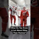 What Do You Know A Lot About, Other Than Hockey?